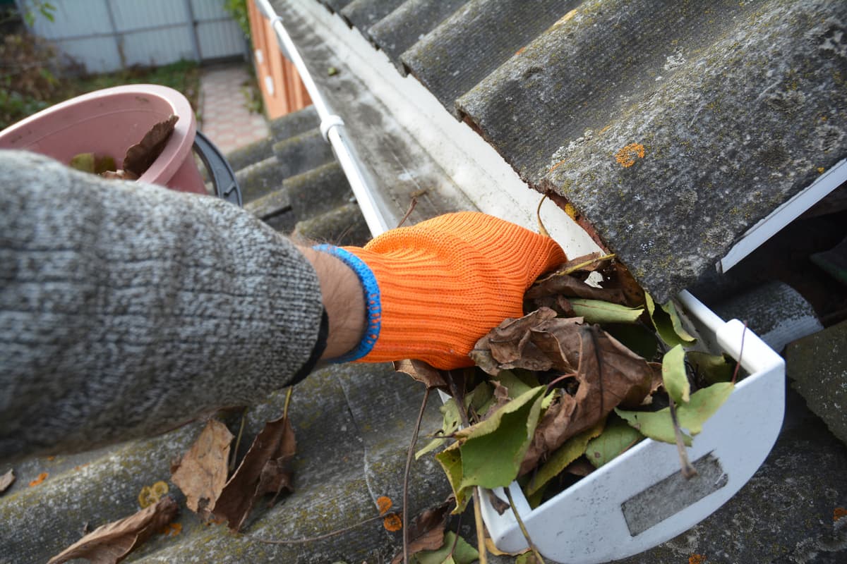 Hand cleaning leaves and buildup from a white roofline gutter